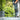 Spring Cleaning & Refreshing Your Outdoor Space: A Complete Guide