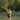 Muskoka Lifestyle Products fly tying fishing