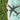 travel destinations plane flying over the beach