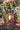 Rustic table lamp centered on a table with a christmas tree in the background