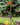 A Muskoka Lifestyle Products SunWave electric patio heater with glowing orange elements on a tripod stand, positioned on a grassy lawn near a burning fire pit and a tree stump, with trees in the background.
